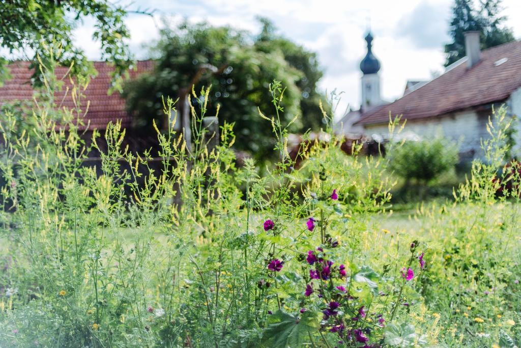 Historischer Pfarrhof Niederleierndorf Langquaid Esterno foto